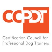 BigMooseDogTrai's tweet photo. Working on updating the new @CCPDT logo on all my stuff!!  #CPDTKA https://t.co/izOV7nDTnM