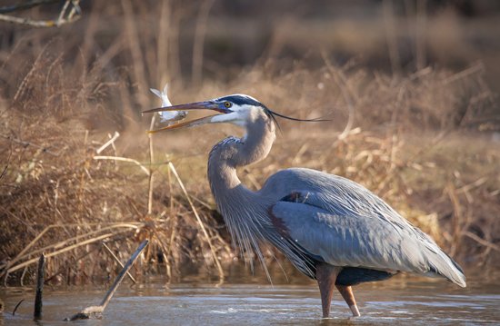 eastcityart's tweet photo. @kristaschlyer will be discussing her #Anacostia River work at a #FotoweekDC2015 Sat: https://t.co/jQXF9Bfzjf https://t.co/wZu40EHHvF