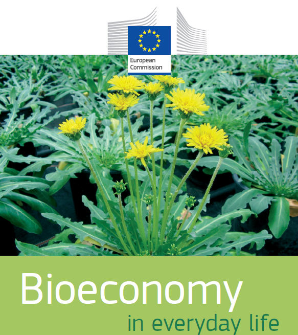 view proton exchange membrane fuel cells materials properties and performance green chemistry