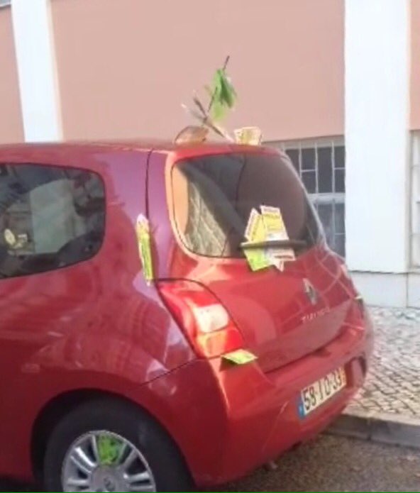 BernardoPdCosta's tweet photo. Haverá melhor maneira de fazer ler o papel que tiramos do pára-brisas do carro? Pode é não ser pelas melhores razões https://t.co/PQlphylxw8
