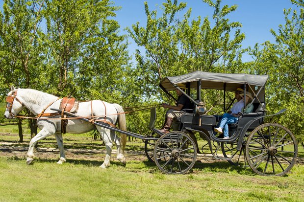 BodegaGarzon's tweet photo. En #ExperienciasGarzón tenemos un secreto para viajar en el tiempo... #Carrosa https://t.co/BBmhkfBJQW https://t.co/6nsQmx5hBx