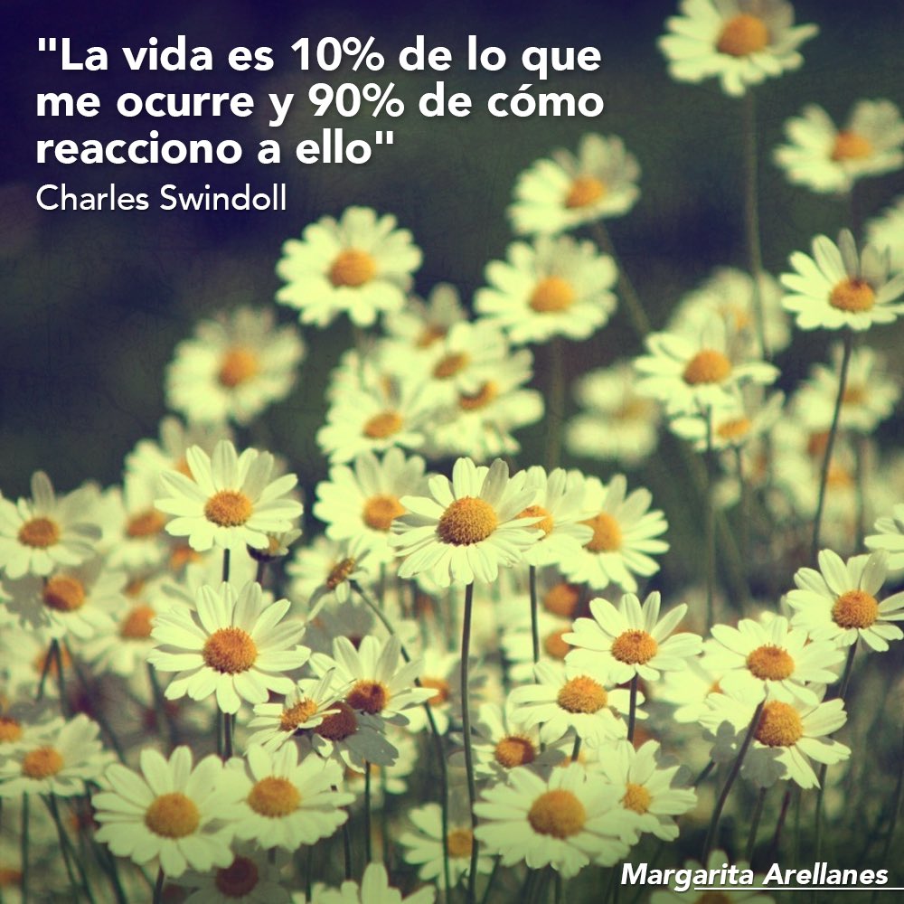 Margarita Arellanes tweet media