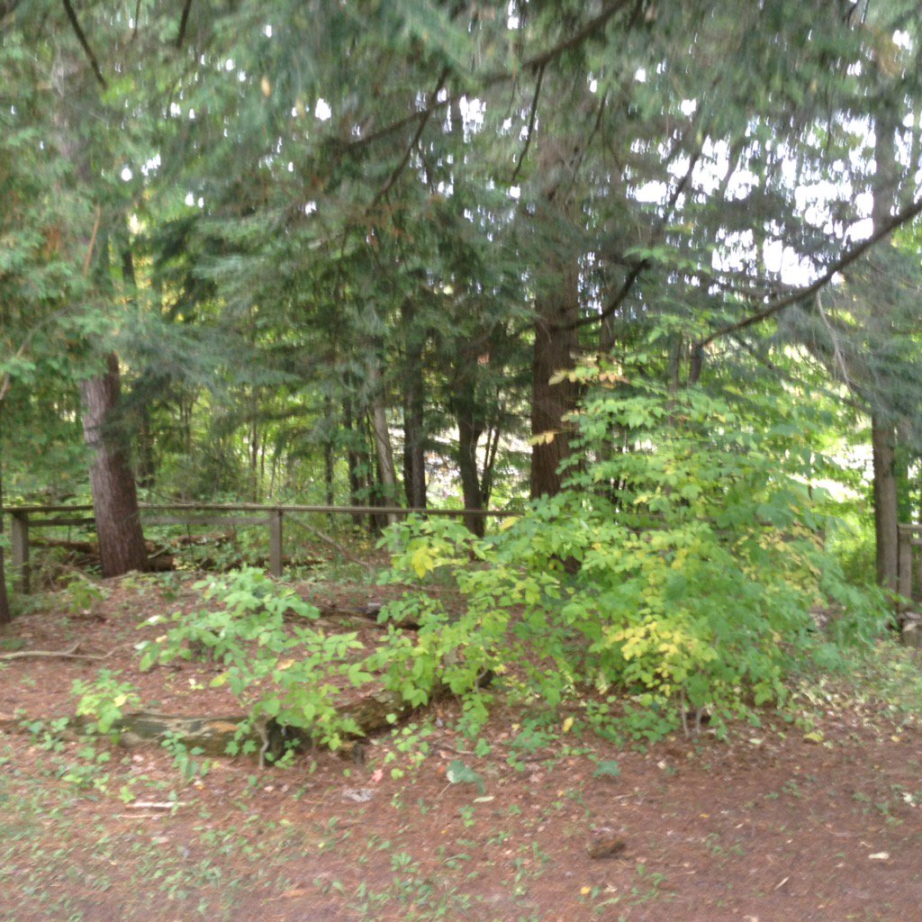 Vansittart Woods EEC tweet media