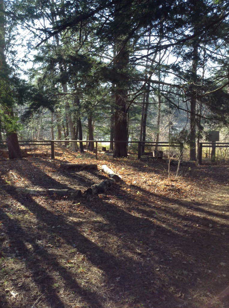 Vansittart Woods EEC tweet media