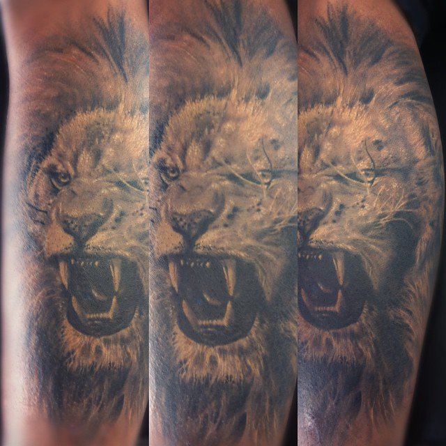 Lion realistic black and grey from rockink tattoo in my skin, special arema day!!
