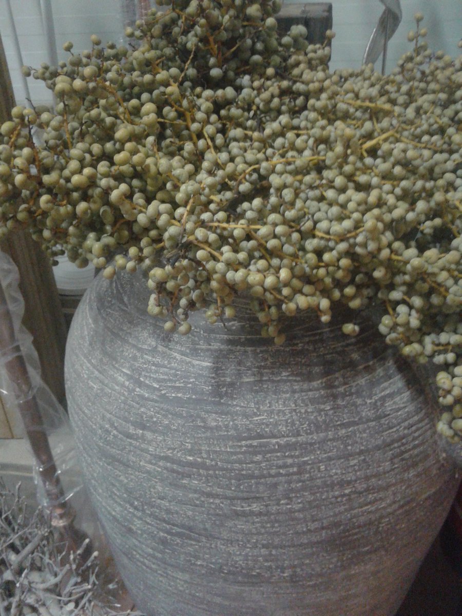 Dadeltakken #eenmalig# dik drie tot vij kilo..enorm groot en vol..vele soorten.op is op.ook gaaf voor krans te maken