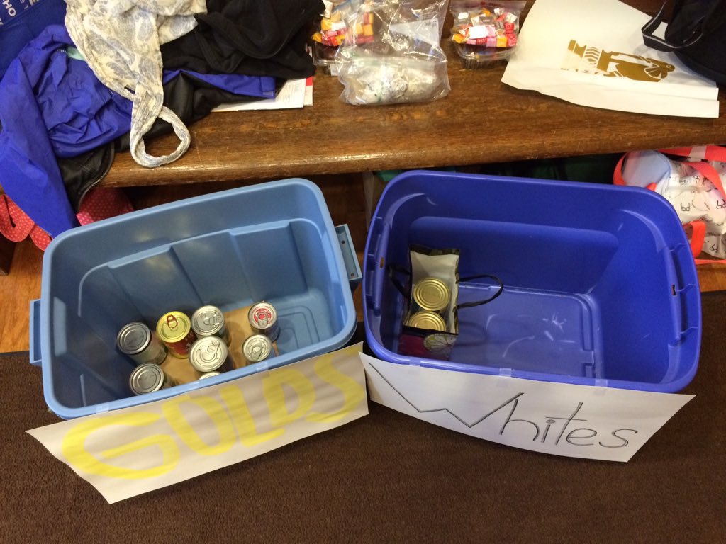 STCCouncil's tweet photo. step it up stc. we only have 12 cans as of right now. Golds: 10 whites: 2 https://t.co/eGHlcd6i2u
