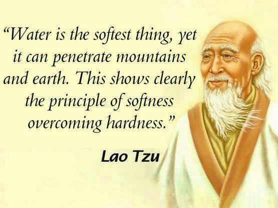RisingSunDojo's tweet photo. #persistence #quitestrength https://t.co/TBYM2MedFQ
