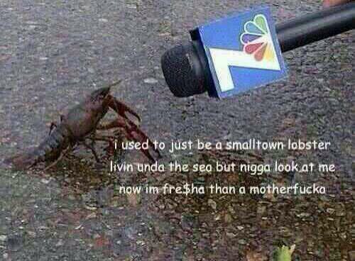 drippack's tweet image. 