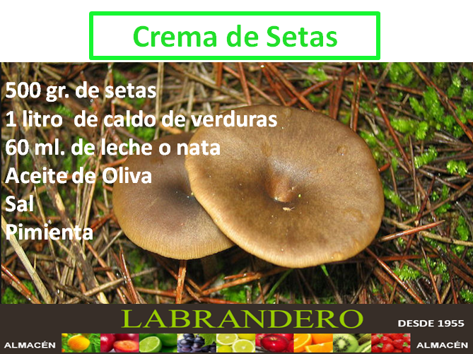 Labrandero55's tweet photo. ¿Te gustan las setas? Desde @Labrandero55 te acercamos la receta de #CremaDeSetas. Perfecta para este mes. https://t.co/zUT4fCREmX