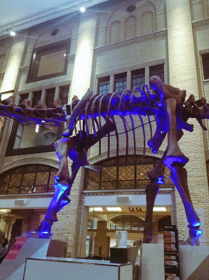 ROMtoronto tweet picture