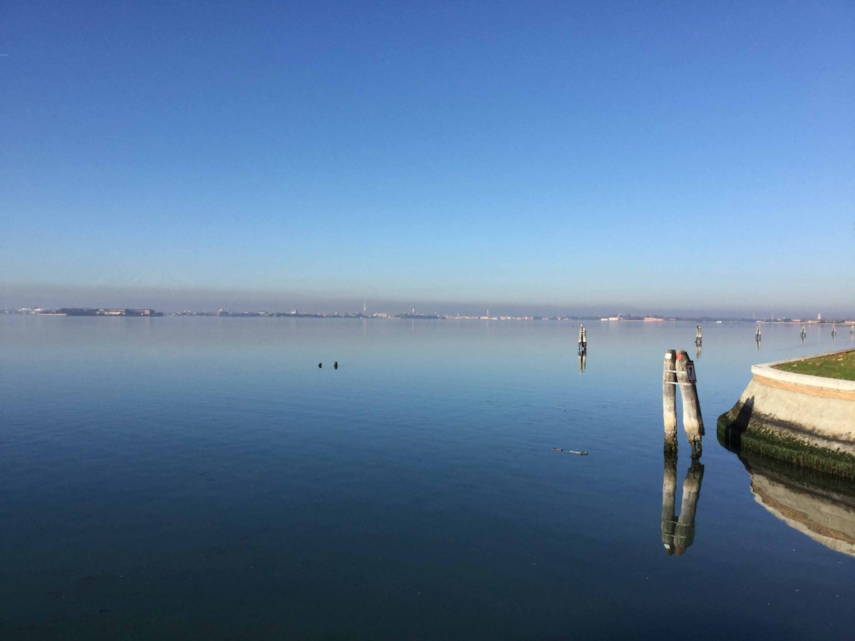 CyclingVenice's tweet photo. An insight into the VeniceLagoon.@VeniceToExpo @DetourismVenice @veneziatoday @venetolink @ChrisJCoates @cyclecities https://t.co/zXjikM25lY