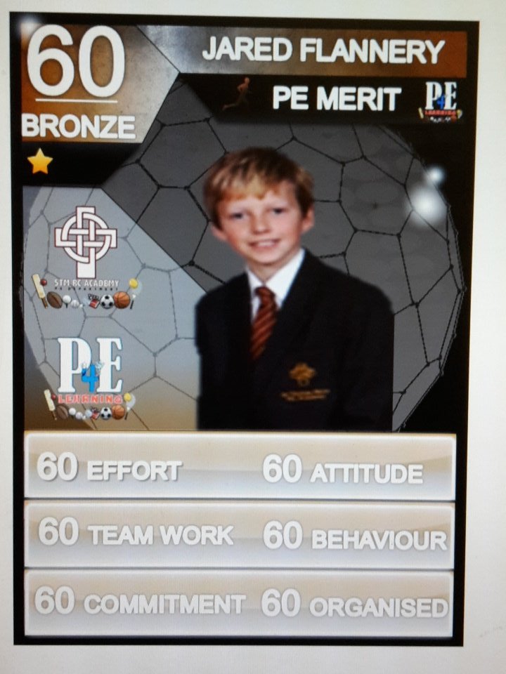 STM_PE's tweet photo. Well done to our @STM_PE Btonze Stars in PE #PELads #rolemodels https://t.co/O6hI5Lnova