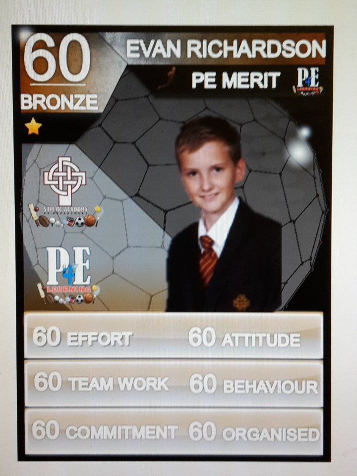 STM_PE's tweet photo. Well done to our @STM_PE Bronze Stars in PE #PELads #rolemodels https://t.co/wYdHrySEyh