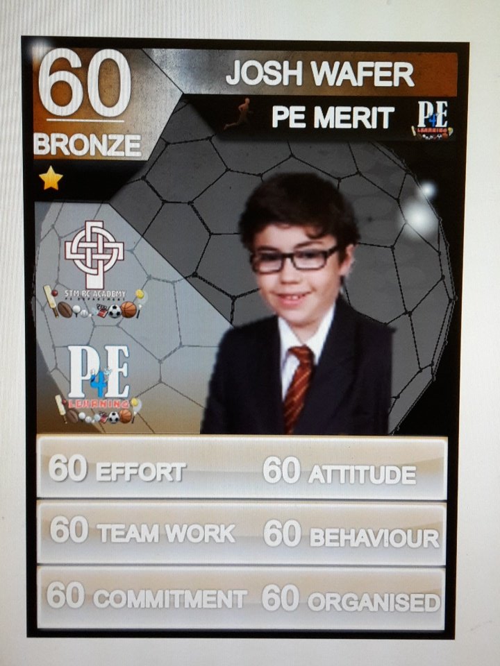 STM_PE's tweet photo. Well done to our @STM_PE Btonze Stars in PE #PELads #rolemodels https://t.co/O6hI5Lnova