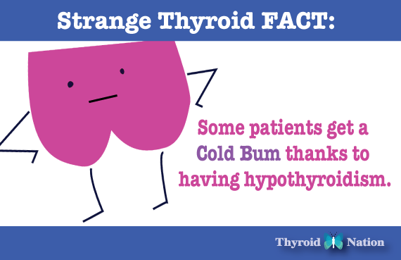 ThyroidNation's tweet photo. Do YOU have a cold bum??? I never knew the connection to #Thyroid or #Hypothyroidism did you???? https://t.co/QIpp02MUrC