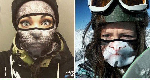 Highline Magazine tweet media