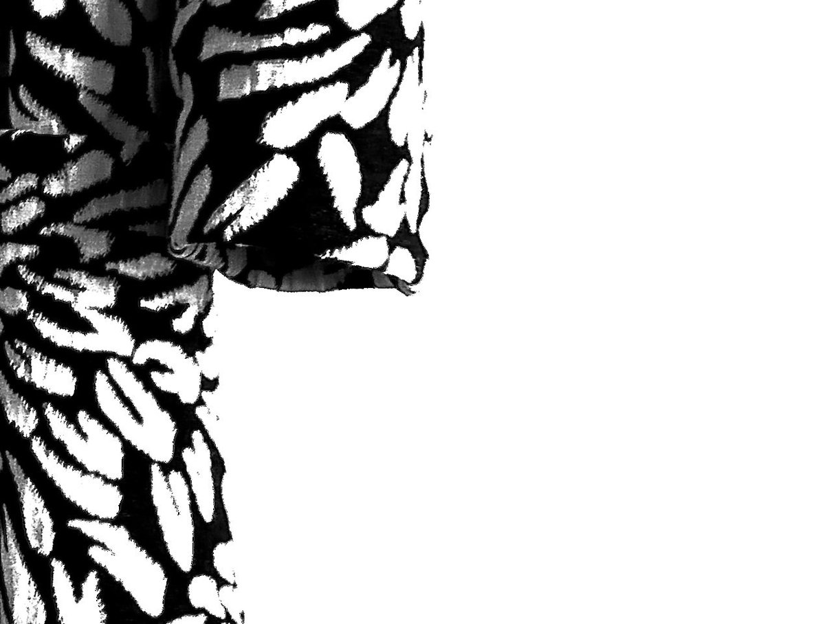 lembi. Cioè in pratica una manica