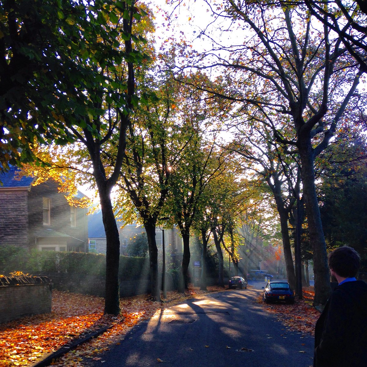 sheffielduni's tweet photo. #Sheffield looking beautiful today in the autumn sun https://t.co/XMJTUsFevE #shefunilife https://t.co/QaYGClE2ST