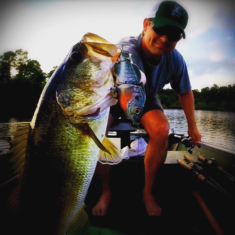 _BamaBass_'s tweet photo. Action packed video of big bass eating big swimbaits coming this week. #BamaBass @BASS_nation https://t.co/mFcWYYD9ir