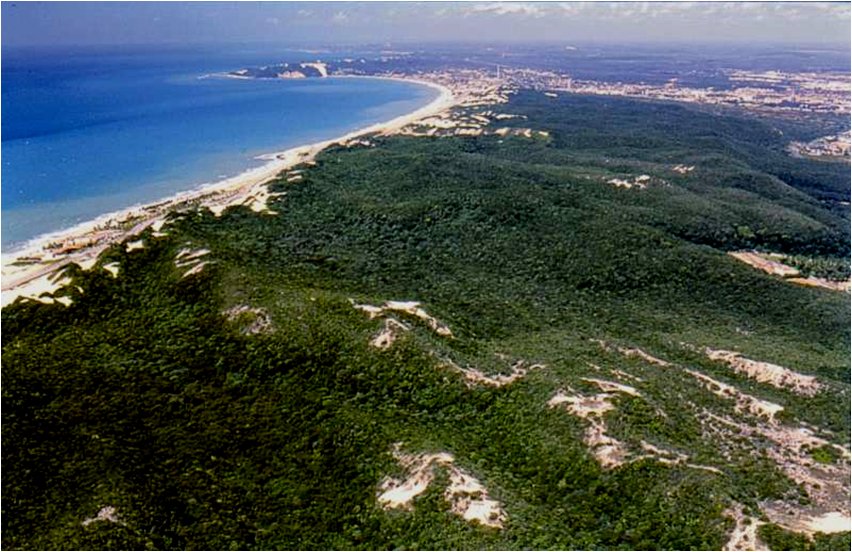 rodrigohammer's tweet photo. Parque das Dunas by Giovanni Sérgio. Enjoy. https://t.co/8vxRGsubAt