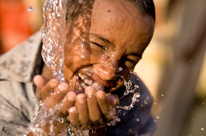 Alem Foundation tweet media