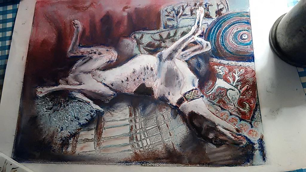 RWhitechurch's tweet image. Emma is now a famous #sofadog! 😁🐾