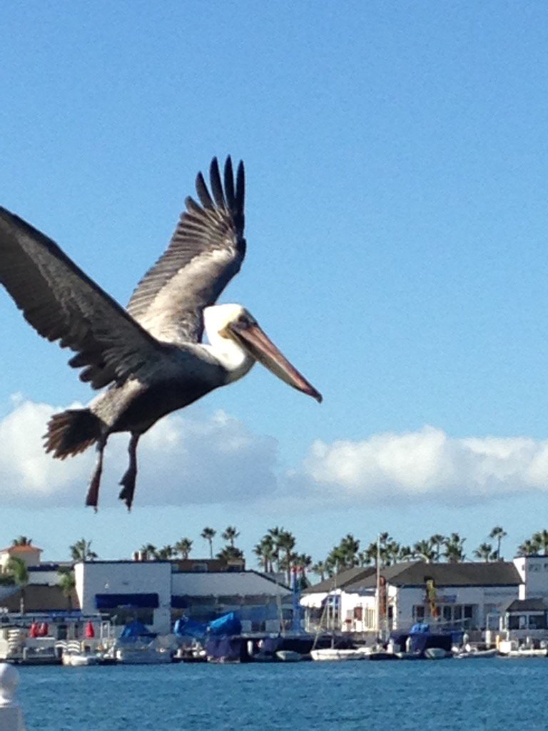 CleanColonique's tweet image. Morning walk...in the flow👣