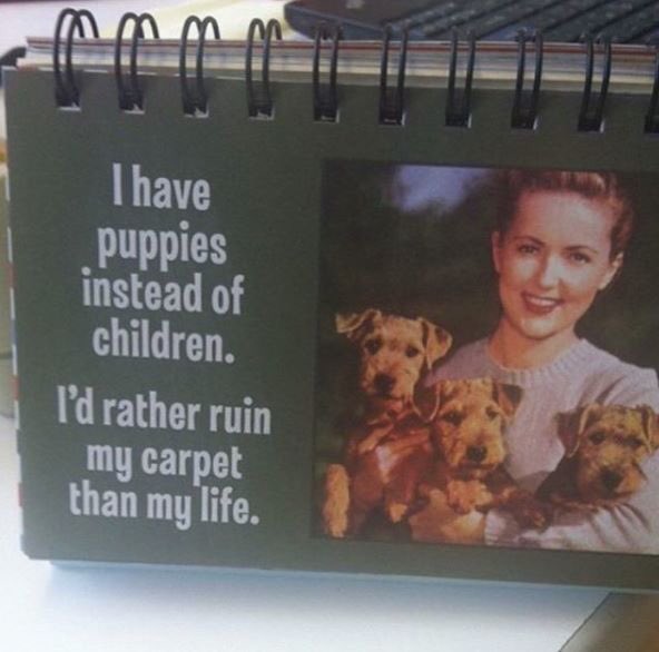 Chip_TheGuild's tweet image. Bwahahaha ha