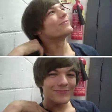 TeamDirectionBR tweet picture