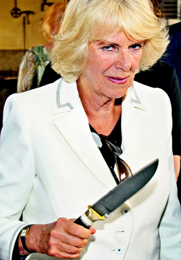 News24Scotland's tweet photo. Seems Camilla has had enough of the Daily Mail 'Diana' stories

#finallycracked https://t.co/q5Qcy1w7XT