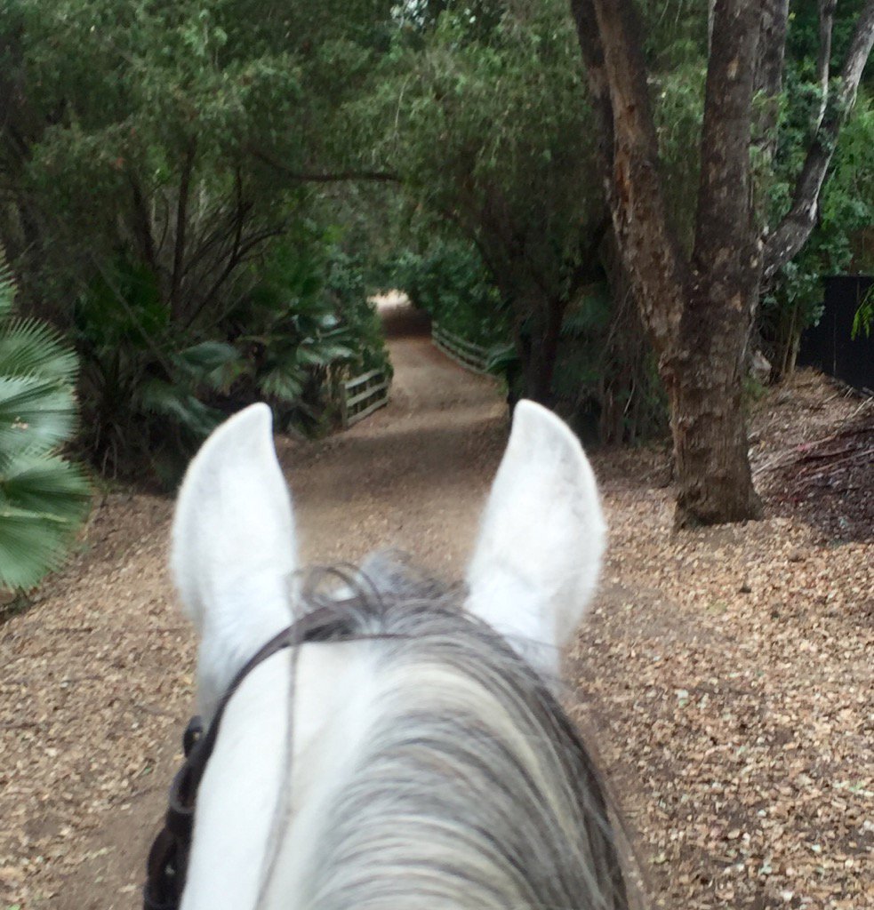 today__picks's tweet photo. "You will show me the path of life; In Your presence is fullness of joy;" (Psalm 16:11a)
#Evermark https://t.co/CmFs1b9DWy
