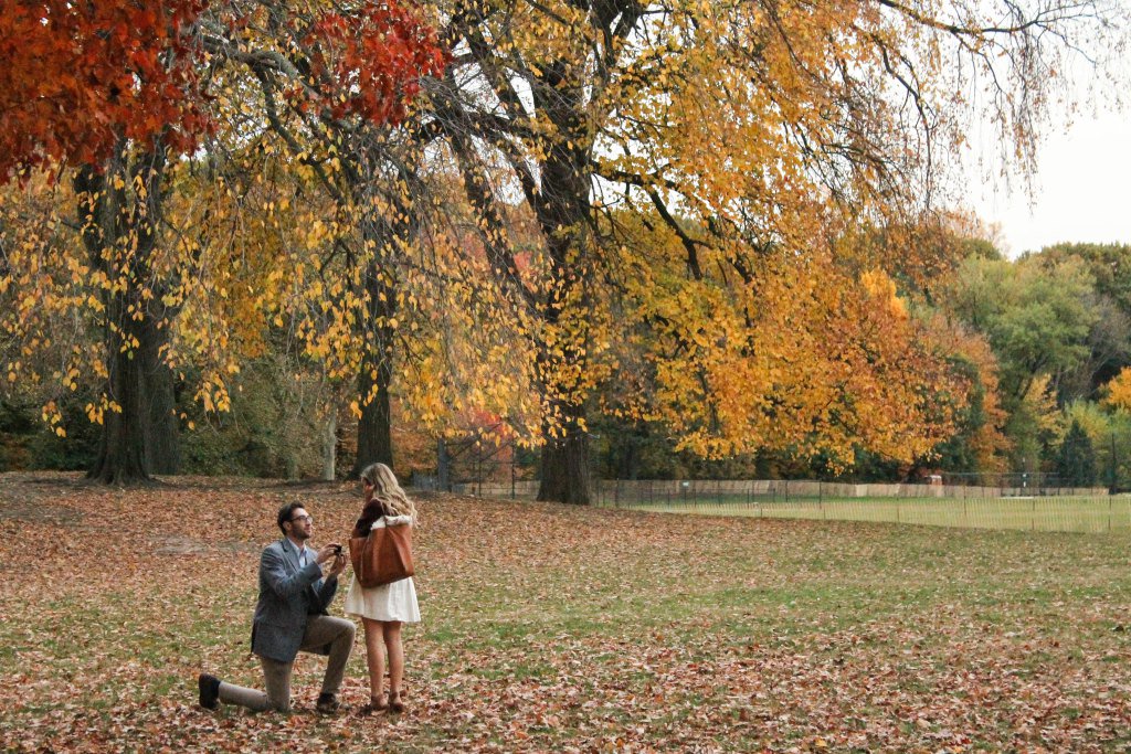 LivingLefty's tweet image. The Sinister Vein of Love livinglefty.wordpress.com/2015/11/10/the…