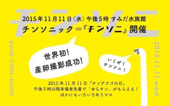 チンアナゴって何❗️？、とにかくシュールすぎなすみだ水族館のポスター