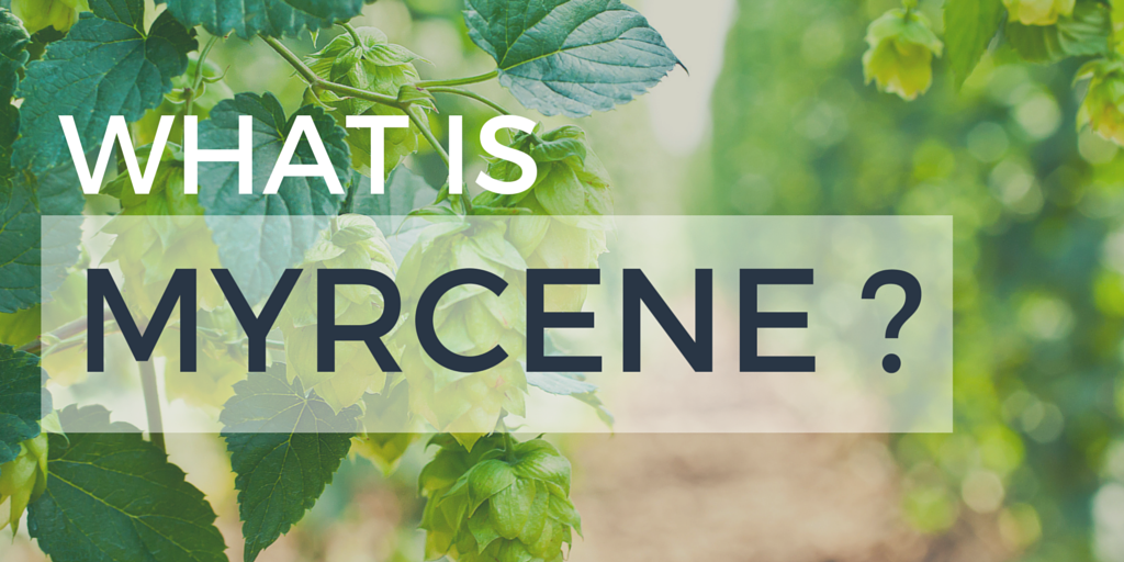 ThinkTankExile's tweet photo. This #Cannabis #Terpene Relieves #Pain &amp; Battles #Cancer - https://t.co/AABPBUKBS8 #Myrcene https://t.co/WENEqdCoou