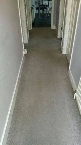 CarpetGbs's tweet photo. Get clean carpets today contact us for a free quote  https://t.co/Mg632lcf1G
