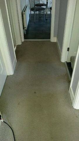 CarpetGbs's tweet photo. Get clean carpets today contact us for a free quote  https://t.co/Mg632lcf1G