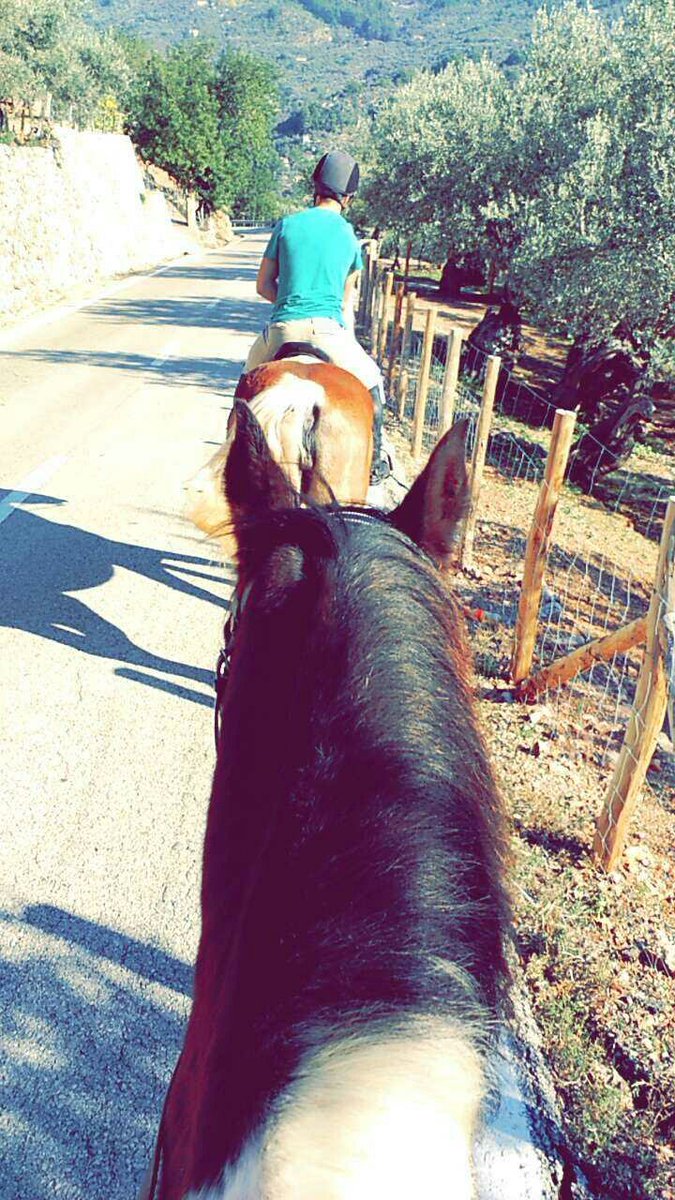 Martalopezz2's tweet photo. Bona tarda per Fornalutx- Sóller @bsrcelo  @mariafoldist  #AFDCM https://t.co/oi2uxxnto0