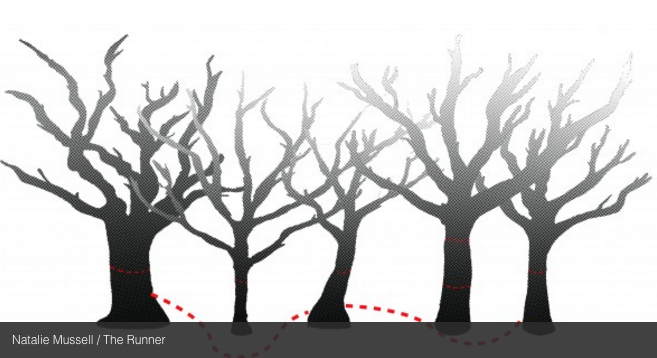 Our home on Native Land. Acknowledging the unceded territories at <a href="/KwantlenU/">KwantlenU</a>: shar.es/15AOt5 #RunnerMag