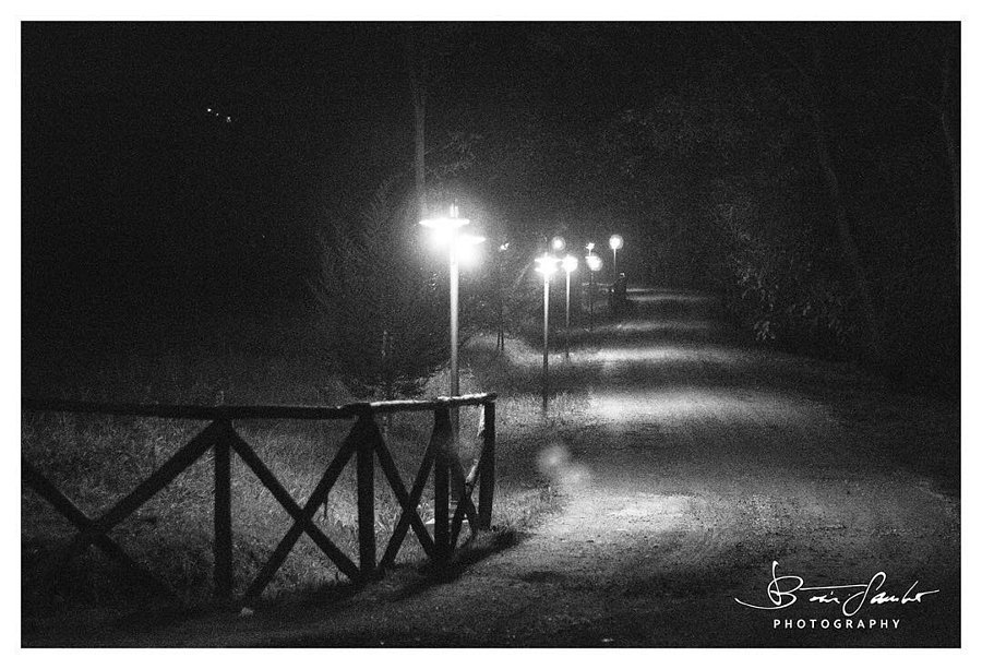 brotiniph's tweet photo. #Beautiful #treelined #entrance in #blackandwhite - #night #streetphotography #underexpose… https://t.co/wZZio5ACEW https://t.co/wOGTGiFfcF