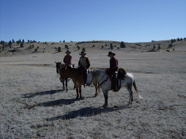 museumatPF's tweet photo. Modern cowboys! Learn about the lasting bond between humans and horses in "The Horse" #MAPhorse #museumatpf #upshow https://t.co/3JV62hhv7X