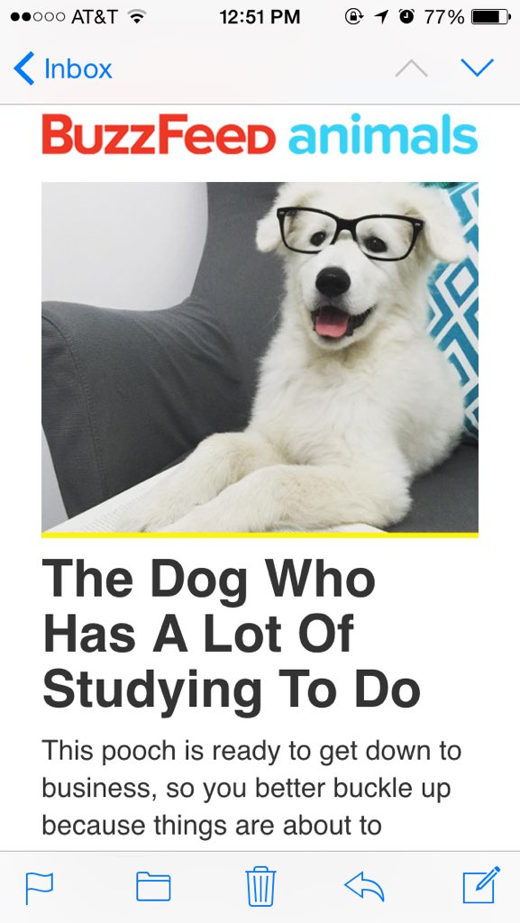 WhitneyLDunn's tweet photo. When your Buzzfeed Dog of the Day hits a little too close to home. https://t.co/rsveoZ62b3