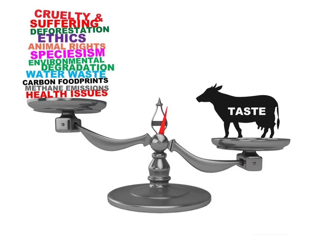 VeganVenturer's tweet image. Weighing up the options, it's a no-brainer. #farm365  #vegan #4animals #4health #4hungry #4planet #GoVegan