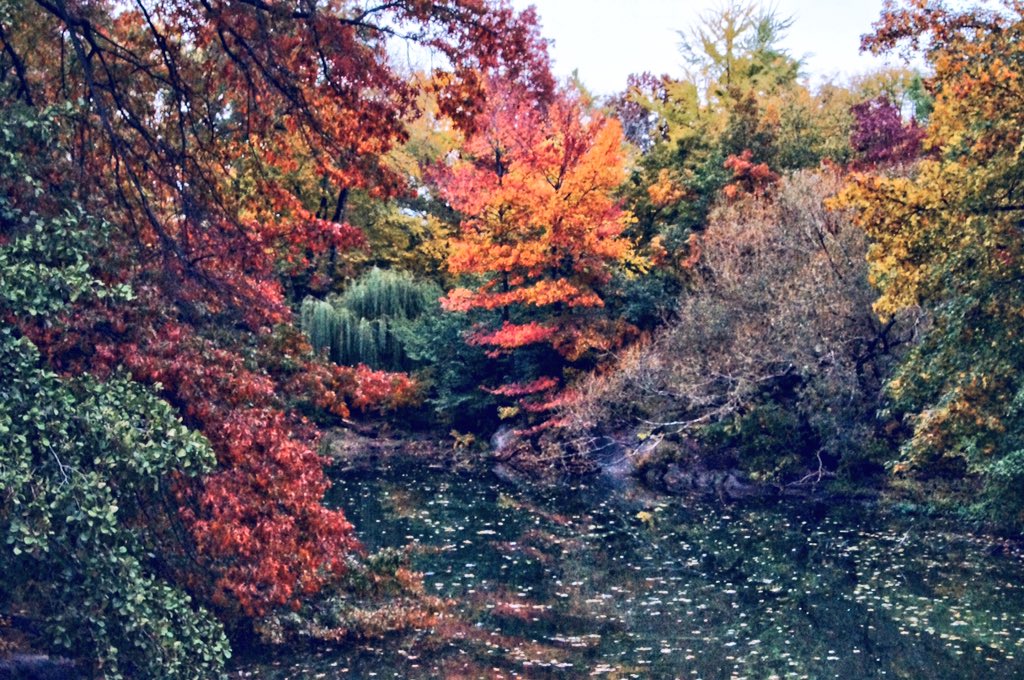 AmraBeganovich's tweet photo. Autumn days... πππ #newfriendscolony #omgnfc https://t.co/WKzQk8lPZM