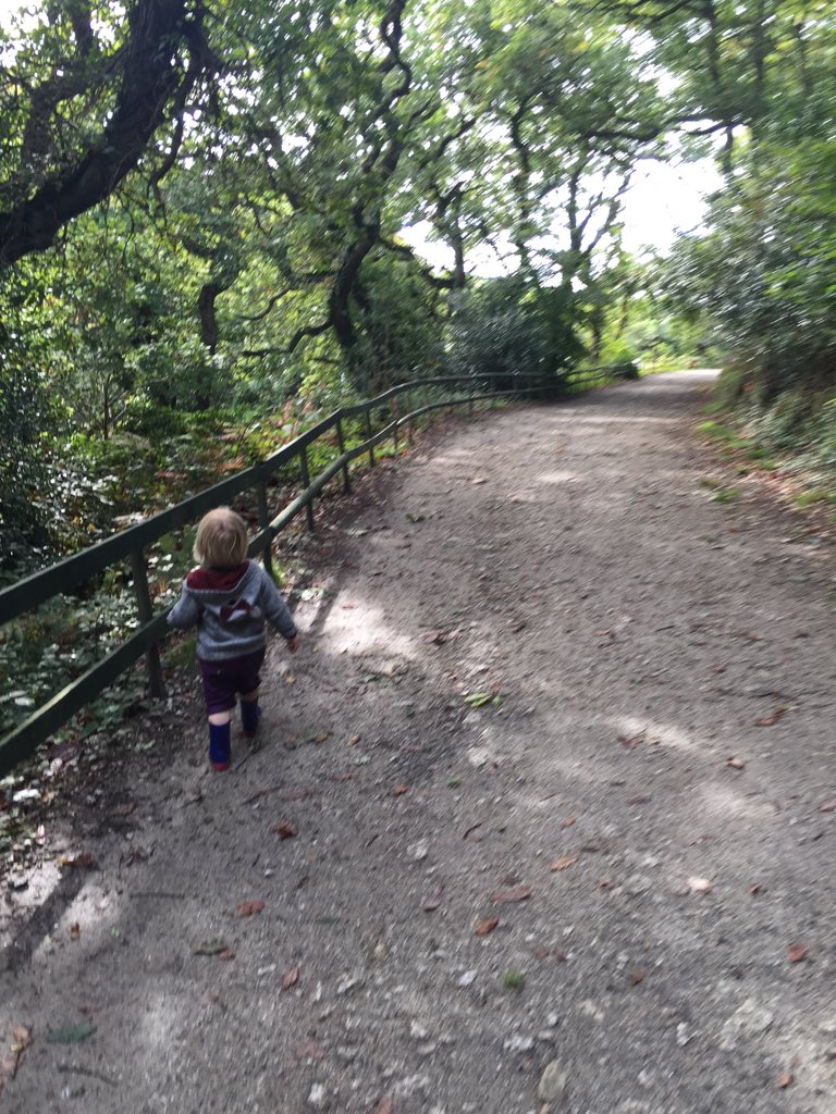LouiseThorn70n's tweet photo. @kingssnacks #dogwalking #toddlerwalking #KingsCountryside https://t.co/5AyVqDk2hU