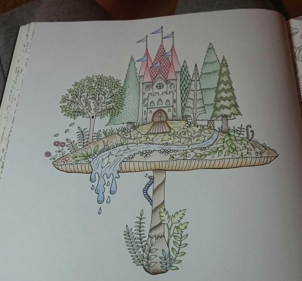 annahawk81's tweet image. #enchantedforest #foretenchantee