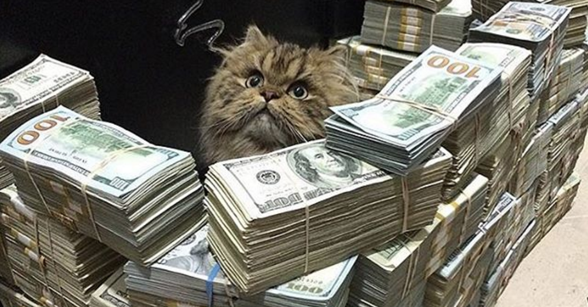 TechCrunch tweet picture