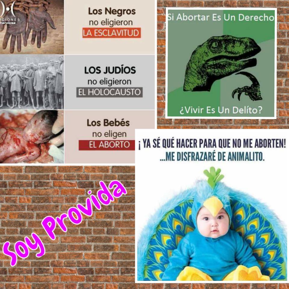 ericamira5's tweet photo. #AbortoNoEsPaz ! Defendamos la vida ! #soyprovida https://t.co/KpuAa4FB9x