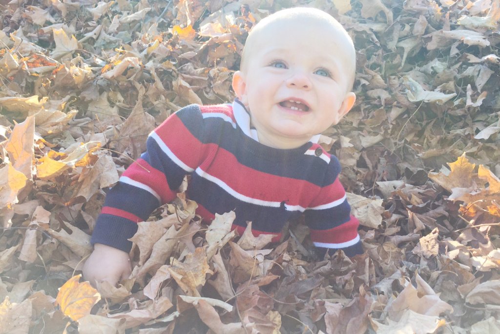 hank at nine months. …mplyeverythingbeautiful.wordpress.com/2015/11/10/han…