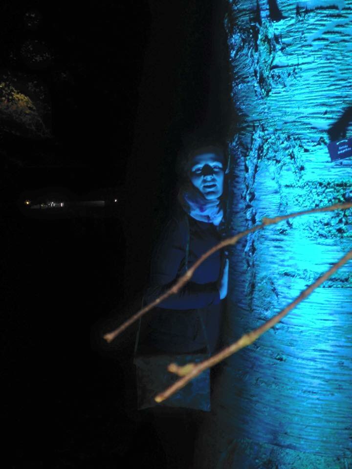 Cyrenians1968's tweet photo. Our communities took a wee daunder to @BotanicLights show @TheBotanics  utterly amazing, we vote #BLwinter :-) https://t.co/rioxqREXDK